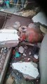 Video: घर में LPG सिलेंडर ब्लास्ट, छत की दीवार फाड़ बाहर निकला सिलेंडर, मलबे में तब्दील हुआ घर
