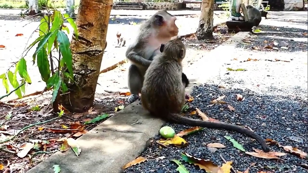 Beautiful and young mom teaching baby lovely arts, tiniest look at mother with loves