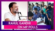 Congress Will Win More Than 150 Seats In Madhya Pradesh, Claims Rahul Gandhi