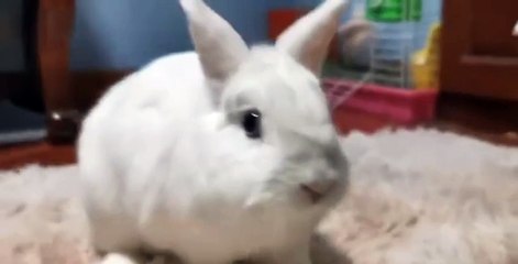 Watch the Surprising Russian Bus Stop Pickup Scene 🇷🇺 | Ara Mix