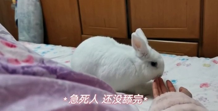 Jogging, Jiggling & Helping Him Cheat | Arabelle Raphael