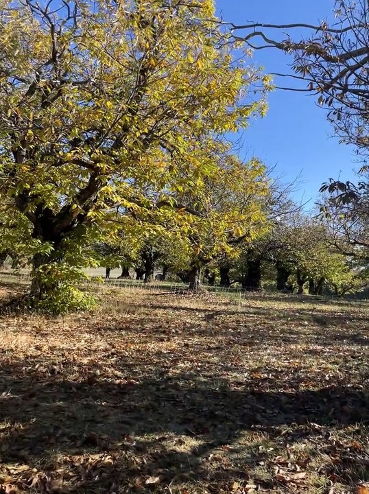 9 De la lavande à la châtaigne, découvrez "Les saveurs du Puits Saint-Martin" à Sault