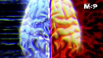 Así funciona el cerebro de las personas zurdas: ¿Qué diferencia hay con los diestros? - #MSP