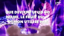 One Piece : que devient le Uo Uo no Mi, le puissant fruit du démon utilisé par Kaido ?