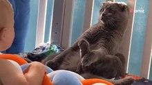 Gatto diventa una "statua" quando passa il bebè: un'interpretazione da Oscar! (Video)