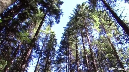 Ecomondo, premiato chi lavora nelle piccole comunit? montane