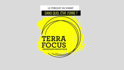 DANS QUEL ÉTAT J'ERRE /  PLUTÔT NOURRIR ! Une histoire de cochons...