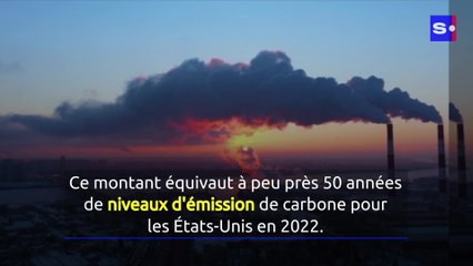 Les forêts anciennes pourraient stocker d'énormes quantités de carbone