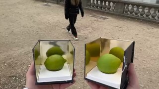 Tu aurais trouvé le bon citron Cédric Grolet toi ?