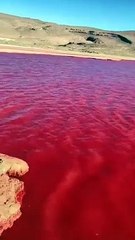El río Nilo se tinó de rojo