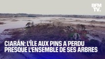 Tempête Ciáran: dans les Côtes-d'Armor, l'Ile aux Pins a perdu presque l'ensemble de ses arbres