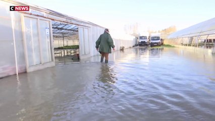 Inondations : le témoignage d'un horticulteur