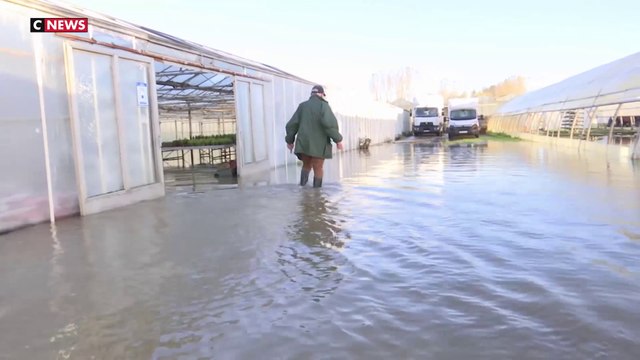 Inondations : le témoignage d'un horticulteur