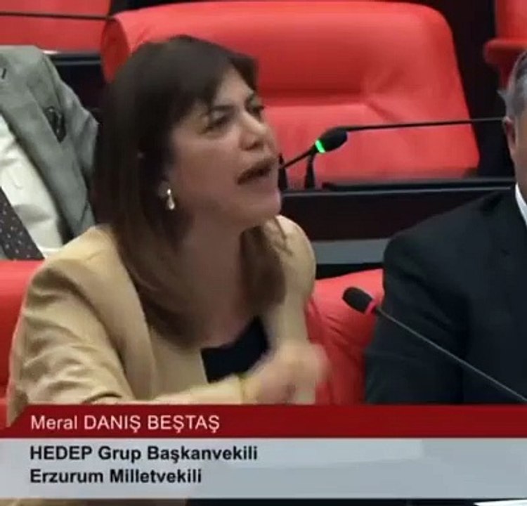 HEDEP'li Meral Danış Beştaş, AKP'li vekile "Terörist senin babandır" diye karşılık verdi