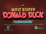 Donald Duck Episodes Donald's Camera - Disney Cartoon Kids Channel