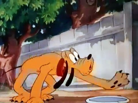 Pluto- Bone Trouble (1937) Disney cartoon