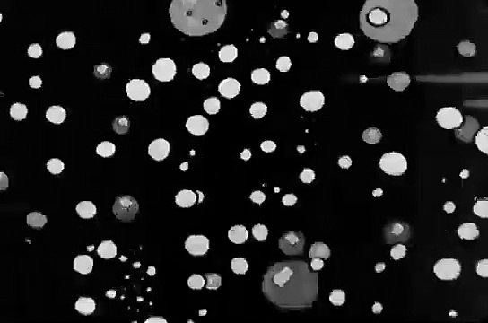 Frolicking Fish - Silly Symphony