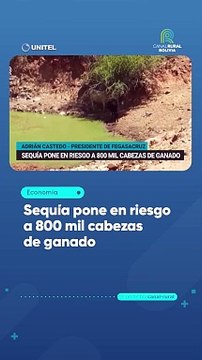 Sequía pone en riesgo a 800.000 cabezas de ganado en Santa Cruz, según dirigente