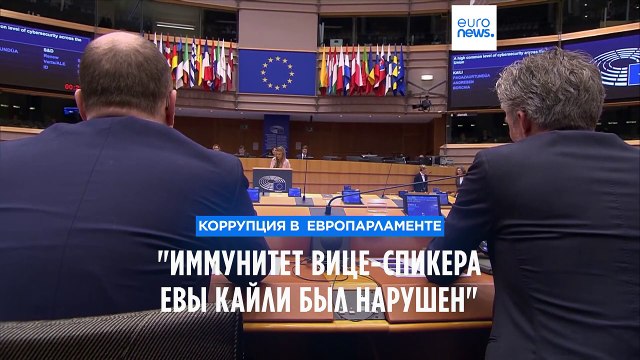 Адвокаты Евы Кайли: Иммунитет вице-спикера Европарламента был нарушен