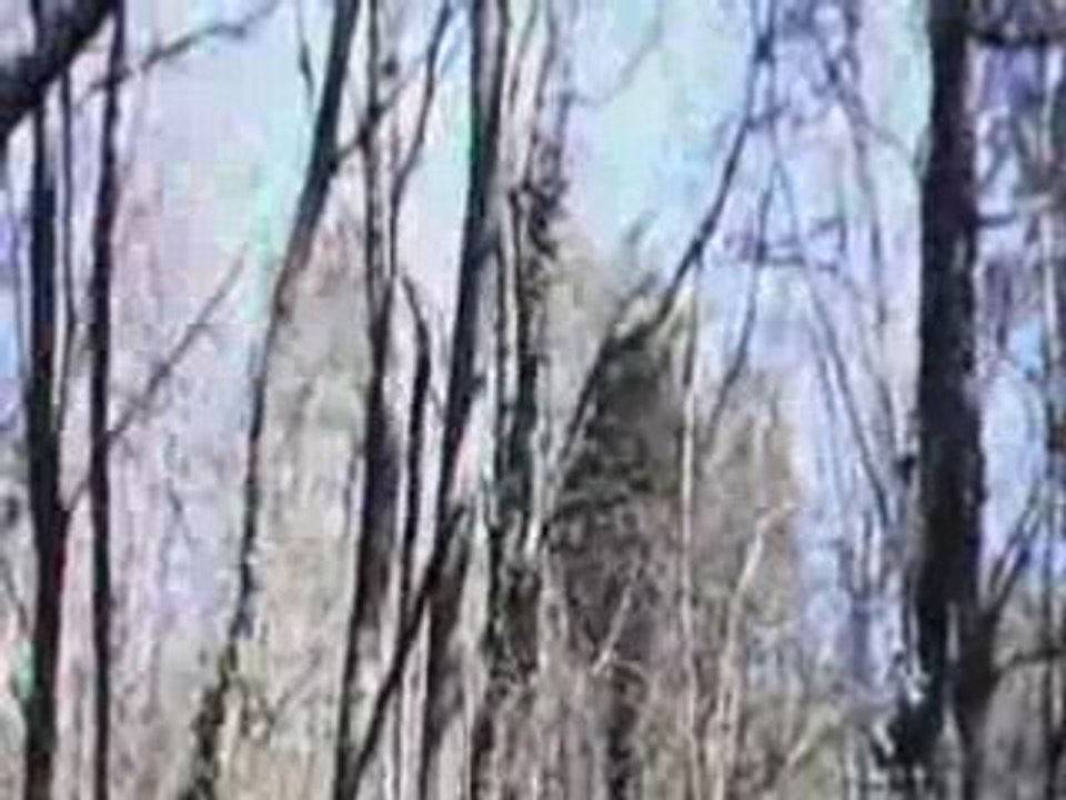 BOGY 2008 2ème partie