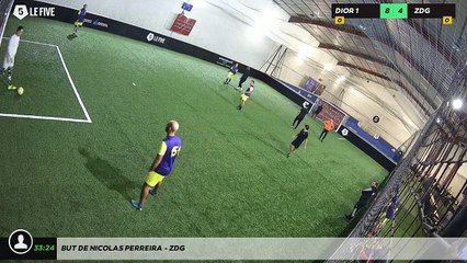 But de Nicolas Perreira - ZDG