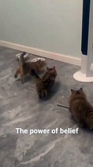 Düz duvara tırmanmak işte bu!