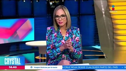 Xin Xin, la última panda gigante que habita en México y Latinoamérica