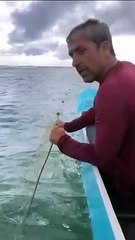 Tartaruga presa em rede de pesca é resgatada e devolvida ao mar