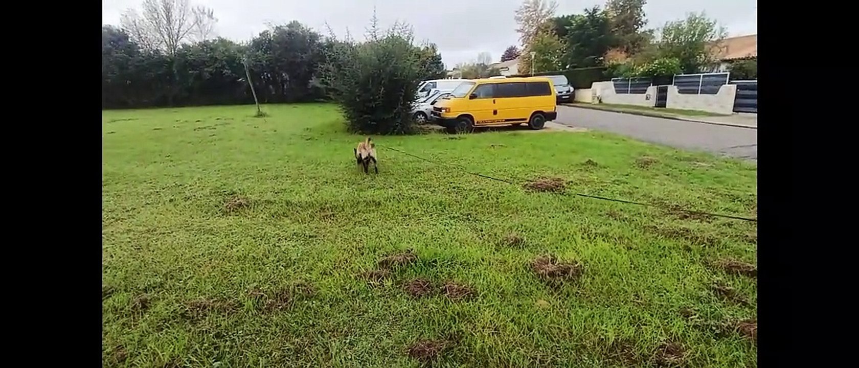 pyxis le 28 octobre  23