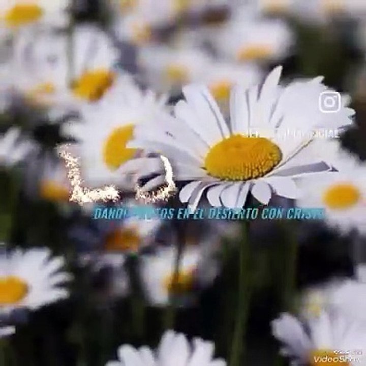 Suscribete a Erika Tapia Oficial