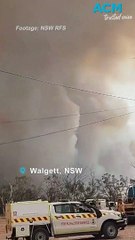 Rural fire services fight fires in northern NSW