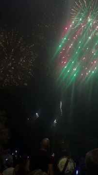 Le Feu d’artifice du 14 juillet Grenoble Parc Jean-Verlhac Villeneuve #france #grenoble #show (15)