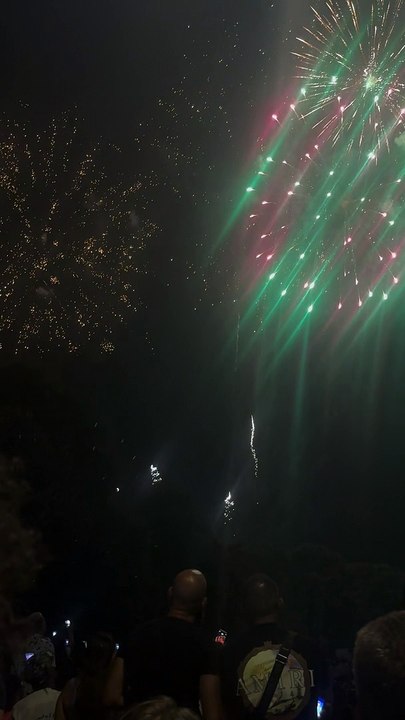 Le Feu d’artifice du 14 juillet Grenoble  Parc Jean-Verlhac Villeneuve #france #grenoble #show (15)