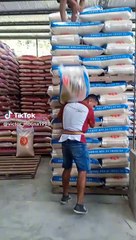 Estibador termina en el suelo al cargar demasiados sacos a la vez: "Mi primera chamba"