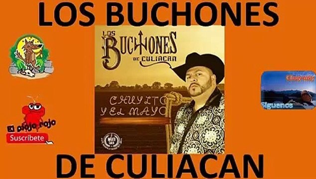 Los Buchones de Culiacan Coleccion corridos perrones mini mix pa ti