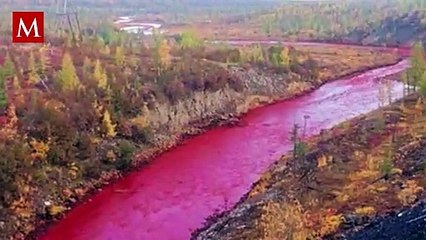 Río Nilo se pinta de rojo sangre y causa temor en redes por pasaje bíblico