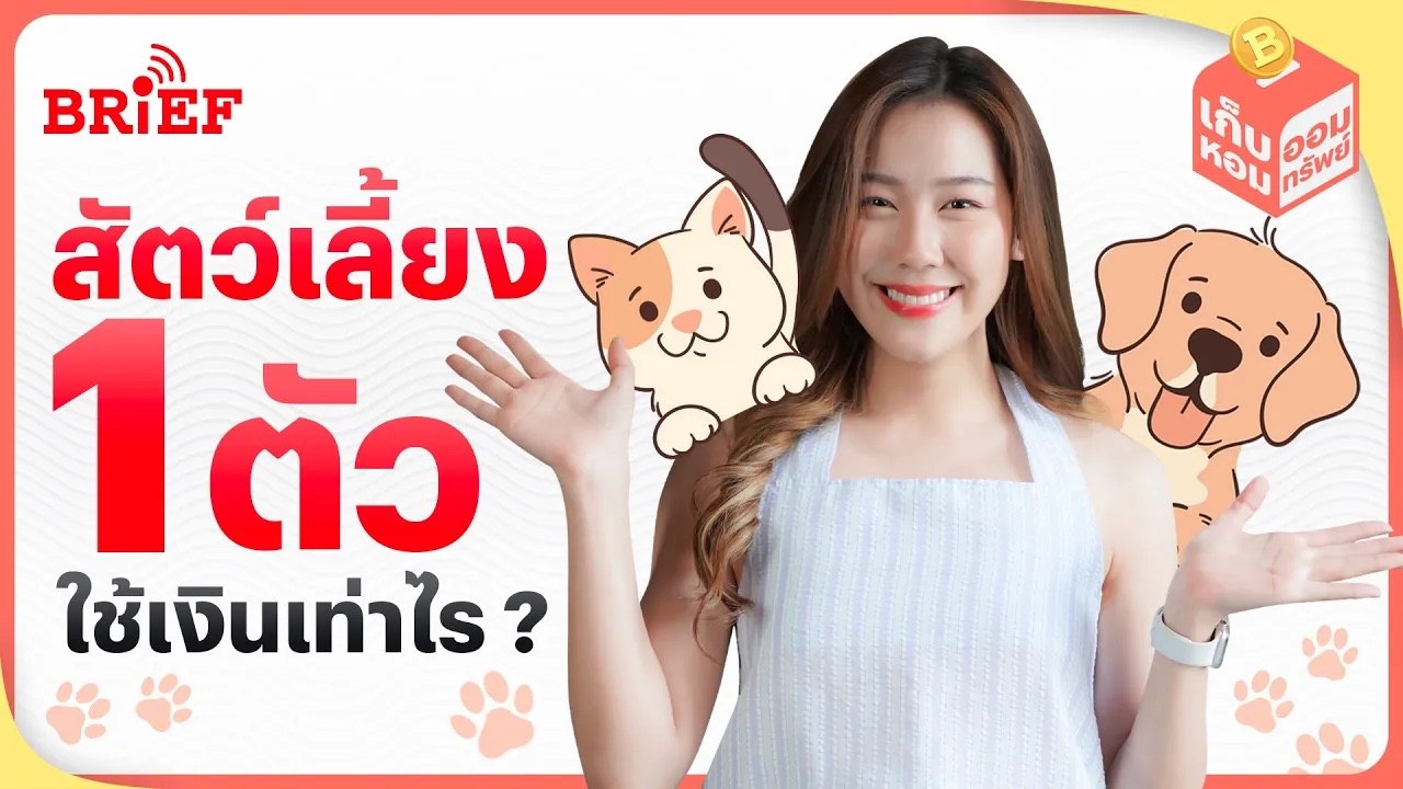 สัตว์เลี้ยง 1 ตัวใช้เงินเท่าไร? | เก็บหอมออมทรัพย์ #beartaiBRIEF