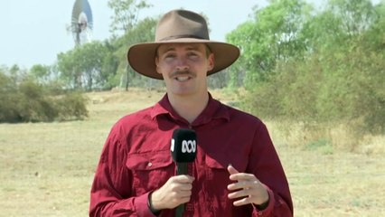 Temperatures top 40 across western Queensland