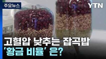 [녹색] 고혈압 낮추는 잡곡 '황금 비율' 찾았다 / YTN
