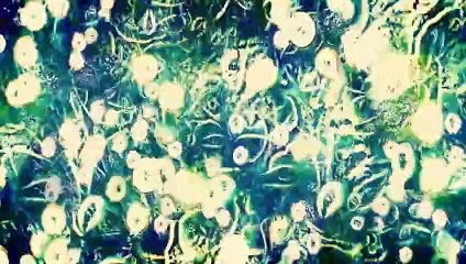 هجوم العمالقة على المدينة بعد كسر الجدار العازل 2 _ ملخص فيلم هجوم العمالقة Attack on titan 2