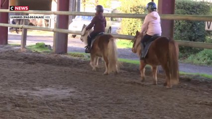 Inondations : un centre équestre rouvre ses portes