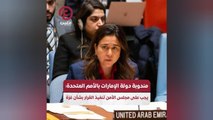 مندوبة دولة الإمارات بالأمم المتحدة: يجب على مجلس الأمن تنفيذ القرار بشأن غزة