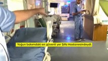 Şifa Hastanesi doktoru İsrail saldırısının ardından oluşan hasarı gösterdi