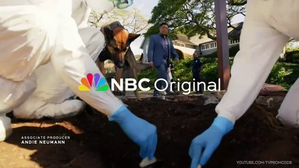 Magnum P.I. S05E17 Consciousness of Guilt