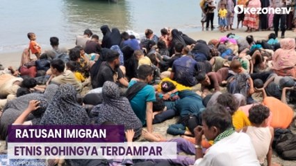 2 Hari, 343 Orang Etnis Rohingya Terdampar di Pidie