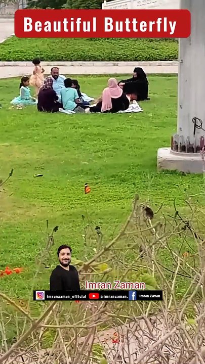 Beautiful Butterfly  l Imran Zaman l Mazar e Quaid