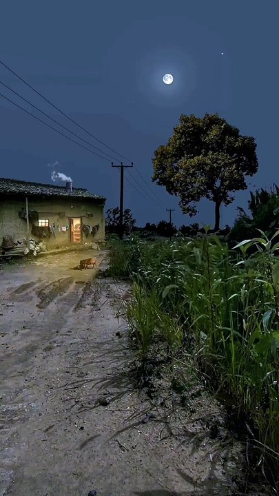 Relaxing sounds of nature