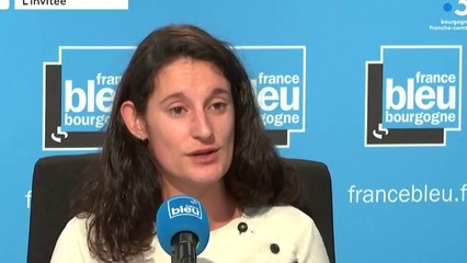 Se passer du glyphosate dans les vignes de Bourgogne ? "Pas possible pour tout le monde"