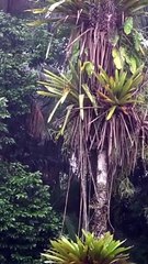 Take a Break Retreat into Tranquil Reflection