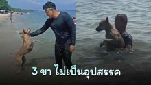 โซเชียลแห่เอ็นดู ตูบสามขาเล่นน้ำทะเล !